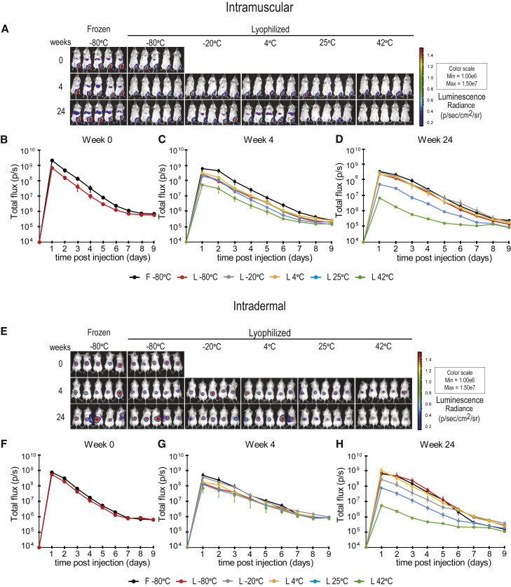 Figure 2