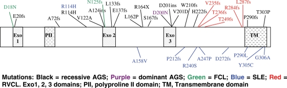 Figure 1.