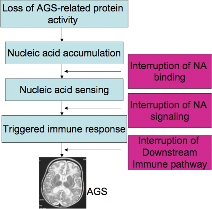 Figure 3.