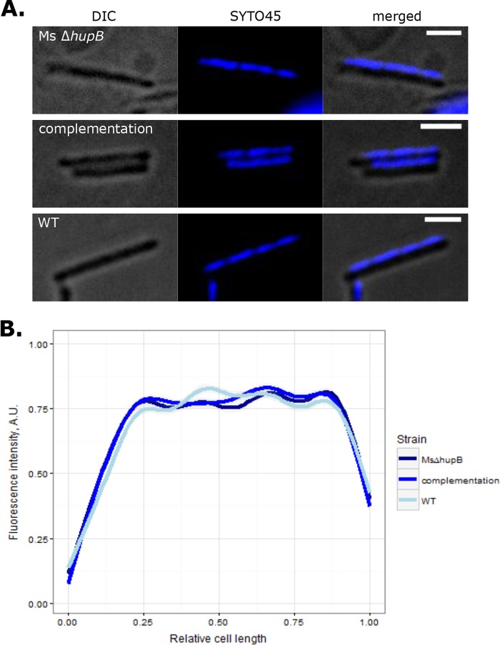 FIG 2 