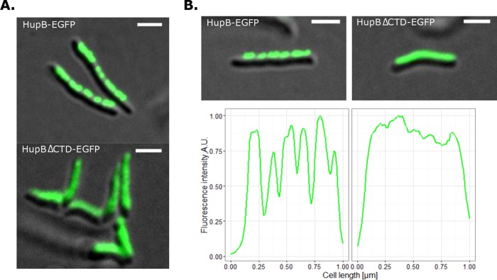 FIG 4 