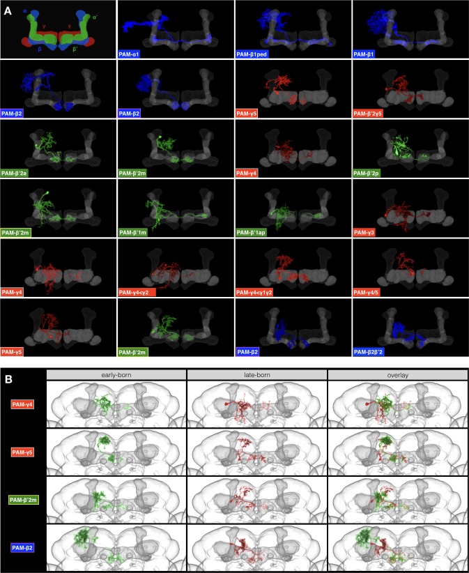 Figure 11.