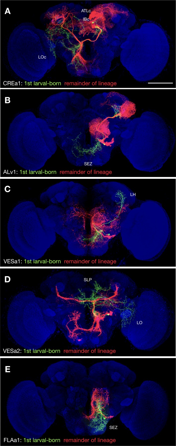 Figure 3.