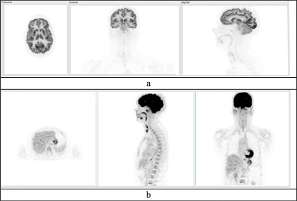 Fig. 8.