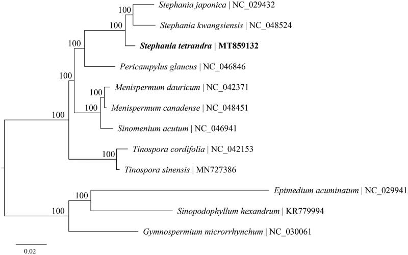 Figure 1.