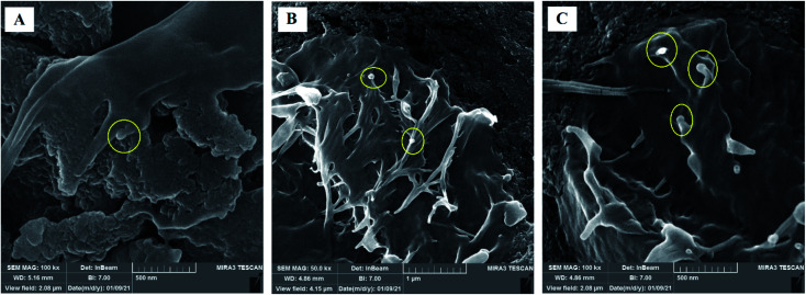 Fig. 9