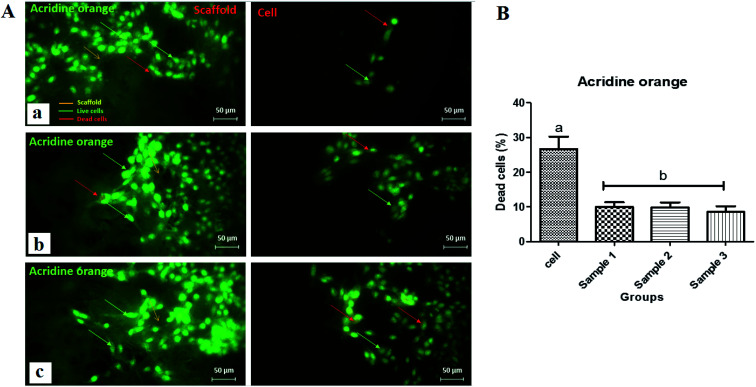 Fig. 10