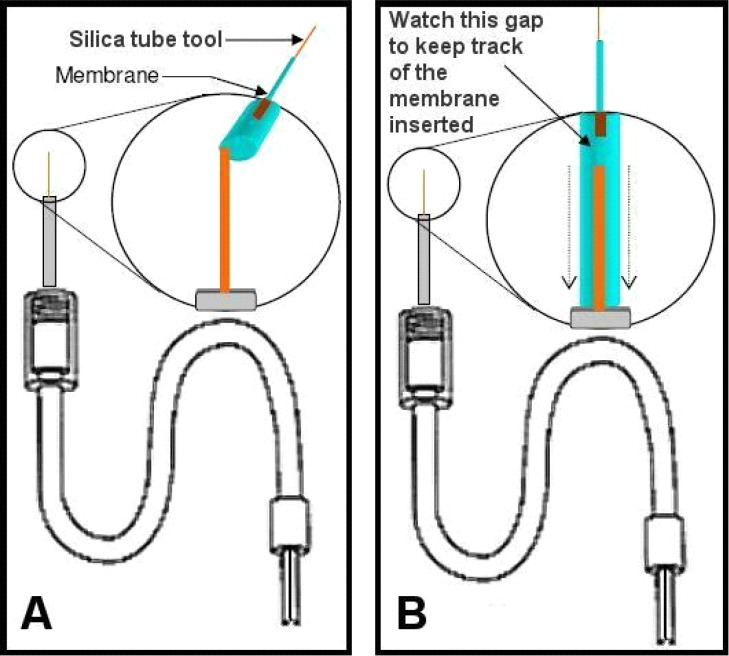 Figure 10