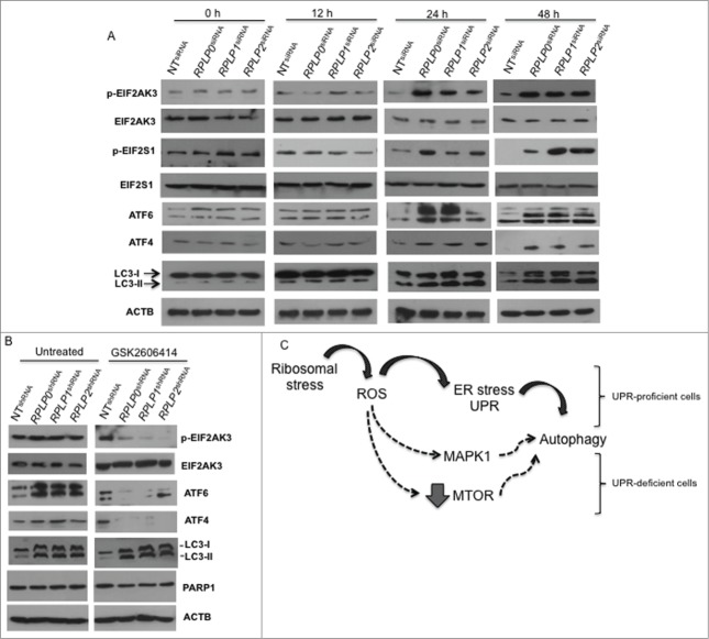 Figure 11.