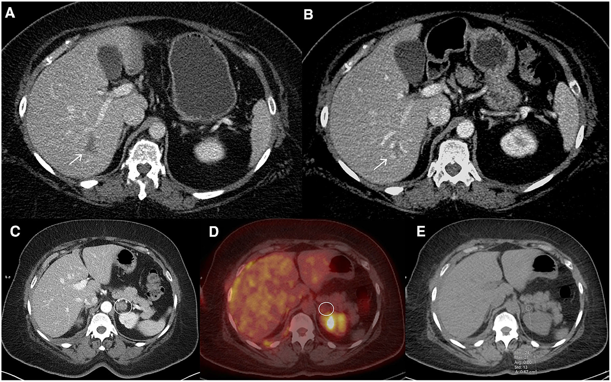 Fig. 4.