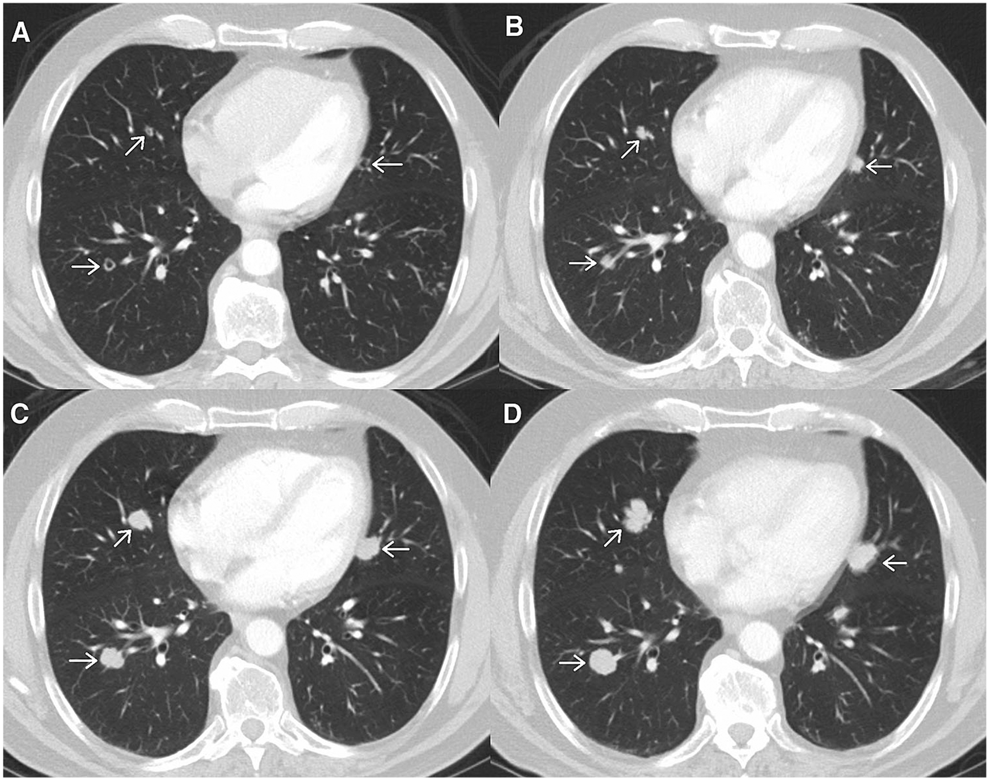 Fig. 8.