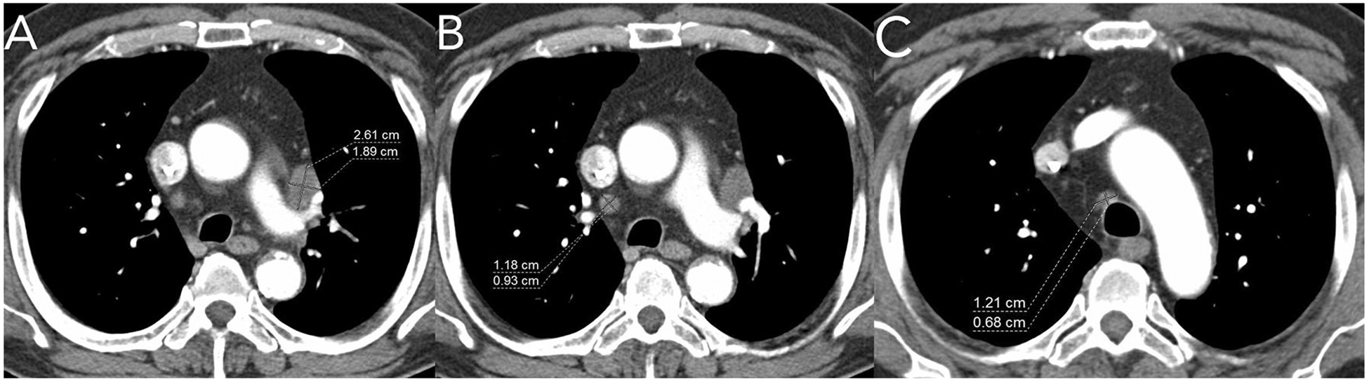 Fig. 7.