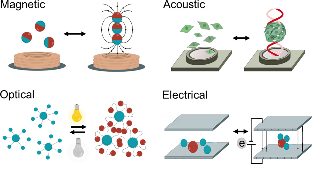 Figure 1.