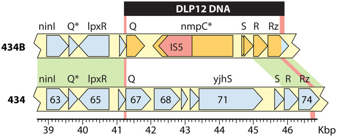 FIG 2