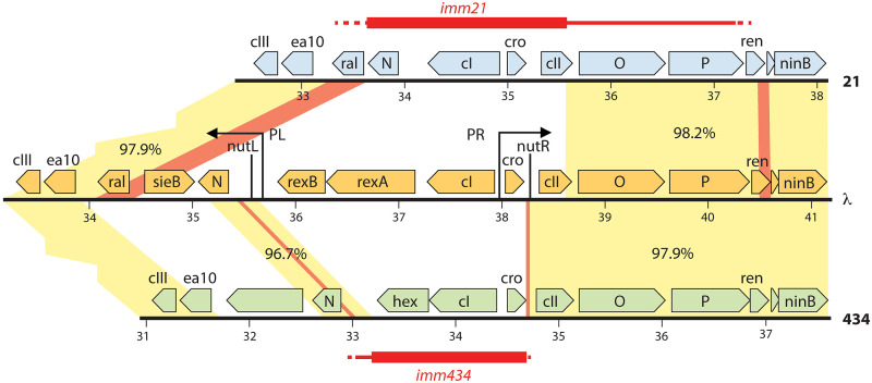 FIG 4