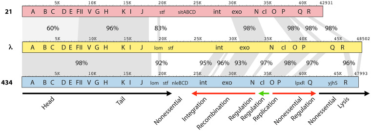 FIG 1