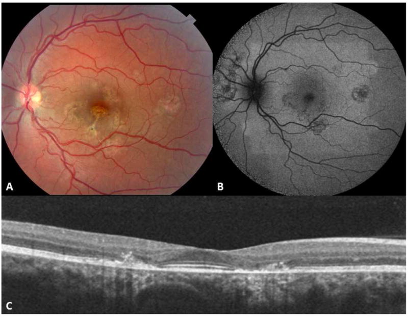 Figure 10