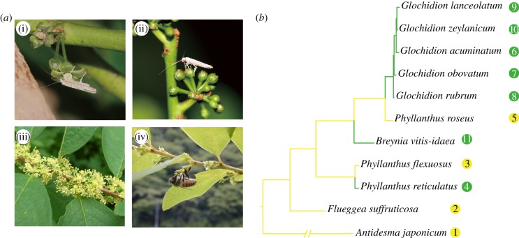 Figure 1.