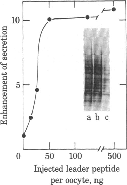 graphic file with name pnas00649-0160-a.jpg