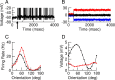 Figure 13.