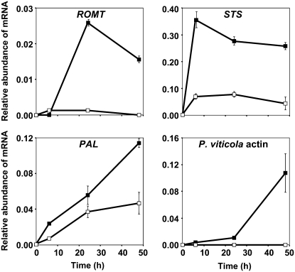 Figure 7.