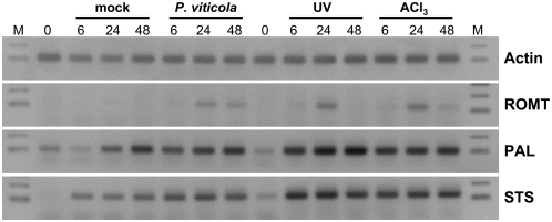 Figure 6.