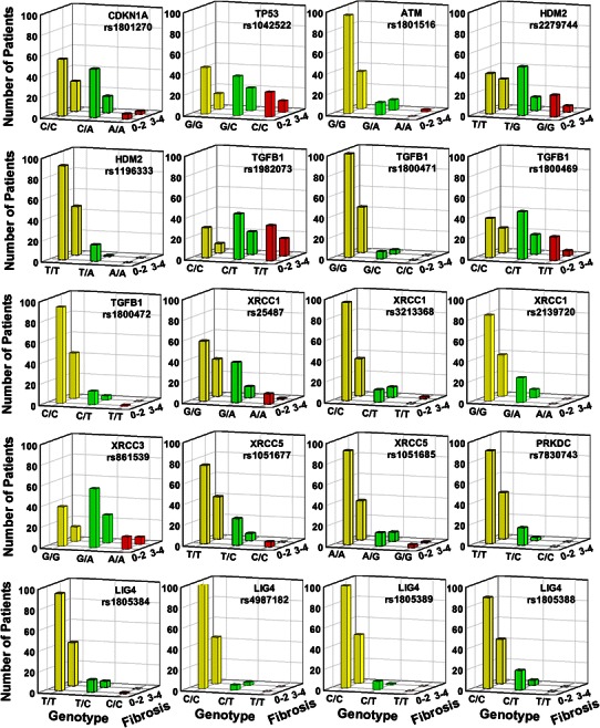 Fig. 2