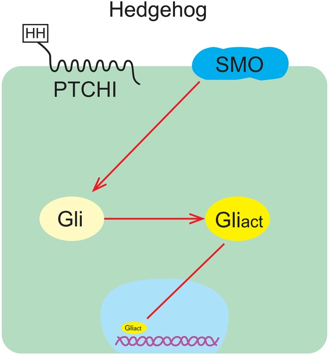 Figure 2.