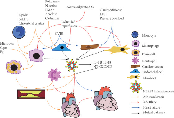 FIGURE 3