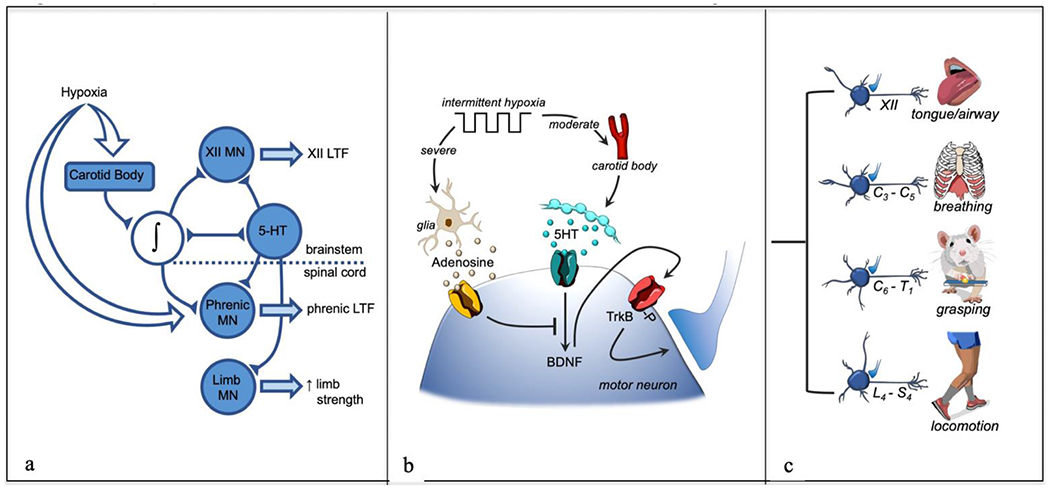 Figure 2: