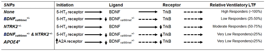 graphic file with name nihms-1773848-t0004.jpg