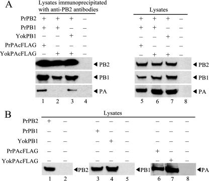 FIG. 2.