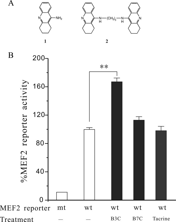 FIGURE 1.