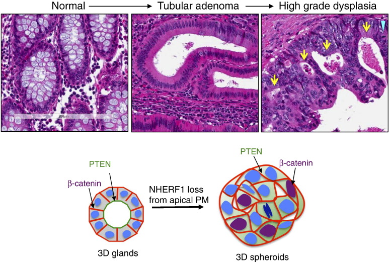 Figure 6