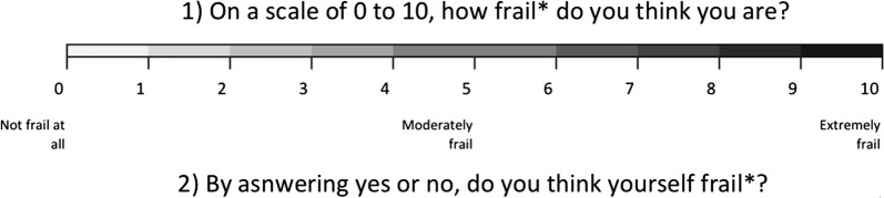 Fig. 1