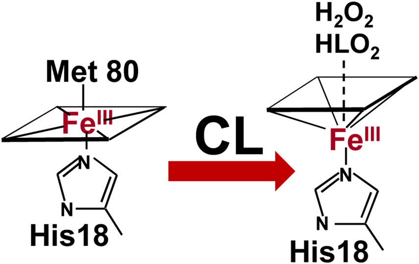 Fig. 8.