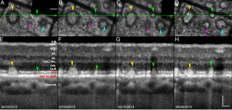 Figure 2.