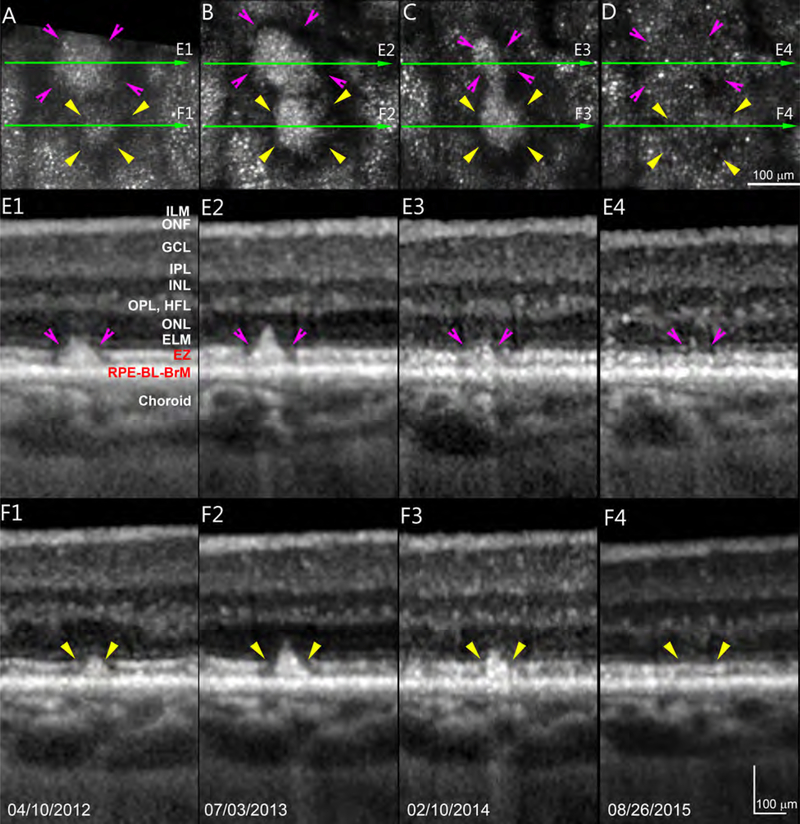 Figure 4.