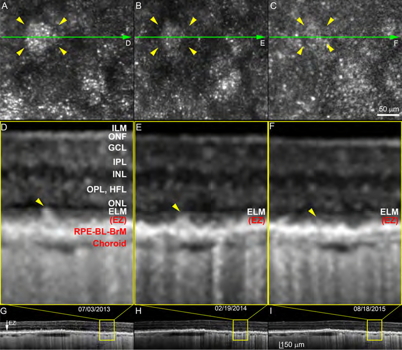 Figure 6.