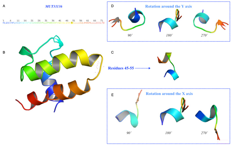 Figure 8