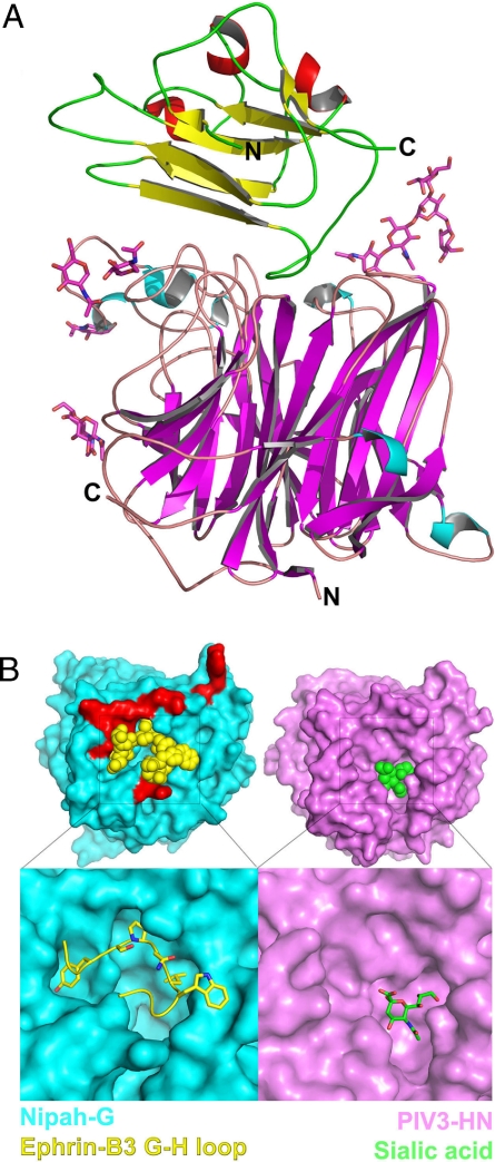 Fig. 2.