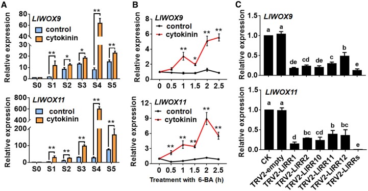 Figure 5