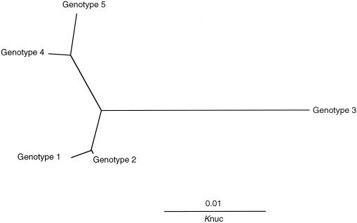 FIG. 3.