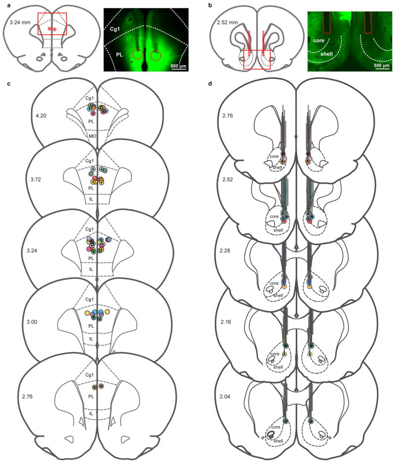 Extended Data Figure 9