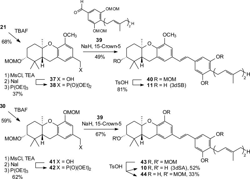 Scheme 5