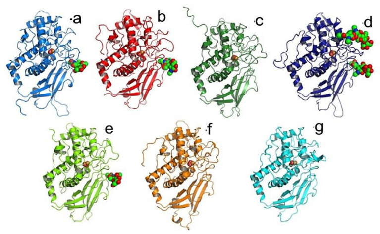 Figure 20