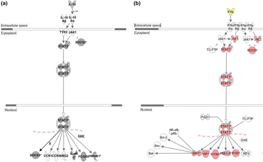 Fig. 7