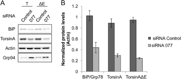 FIGURE 10.