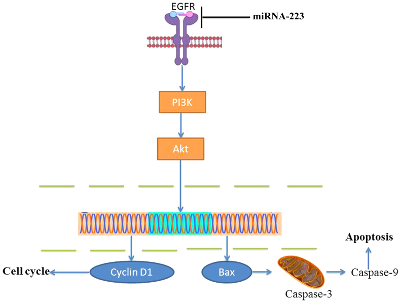 Figure 10.