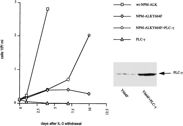 FIG. 10